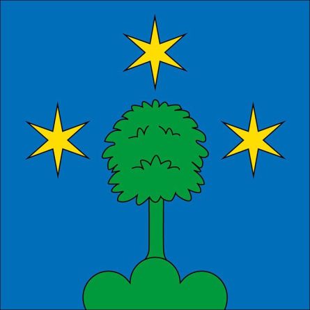 Büren SO flag